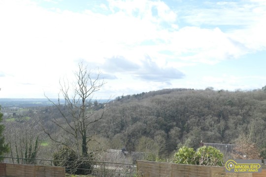 centre ville de mortain