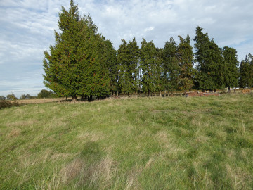 fougerolles du plessisproposé par l Immobilière du Mortainais