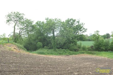 maison au calme sur le teilleulproposé par l Immobilière du Mortainais