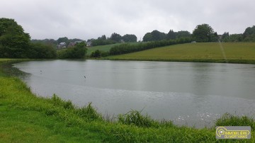 propriete avec 2 etangs a gerproposé par l Immobilière du Mortainais