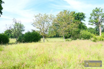 saint georges de rouelleyproposé par l Immobilière du Mortainais