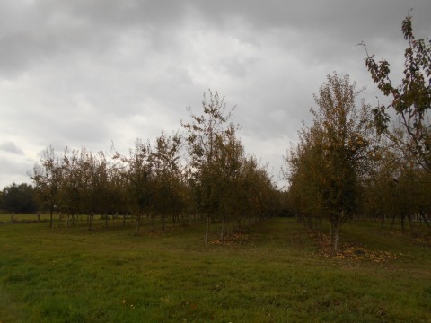 proche de saint hilaire du harcouet