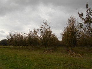 proche de saint hilaire du harcouetproposé par l Immobilière du Mortainais