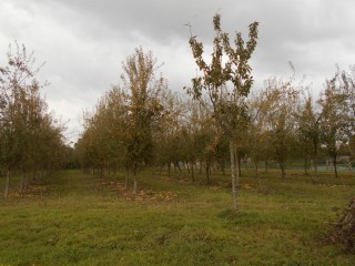 proche de saint hilaire du harcouetproposé par l Immobilière du Mortainais