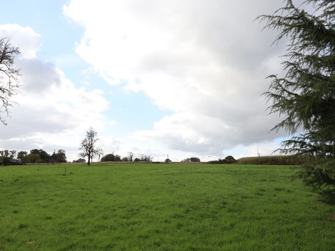 barenton