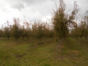 Proche de SAINT HILAIRE DU HARCOUET - SAINT BRICE DE LANDELLES