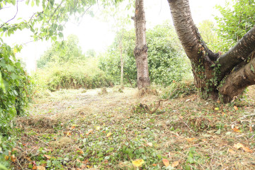 mortain bocageproposé par l Immobilière du Mortainais