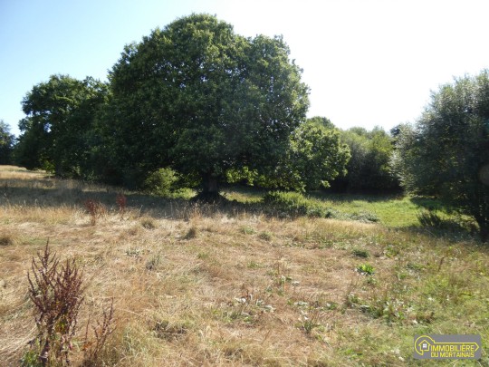 romagny