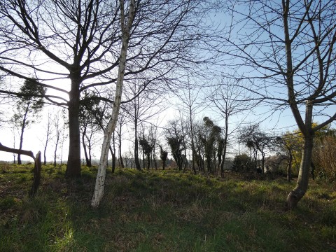 saint martin de landelles