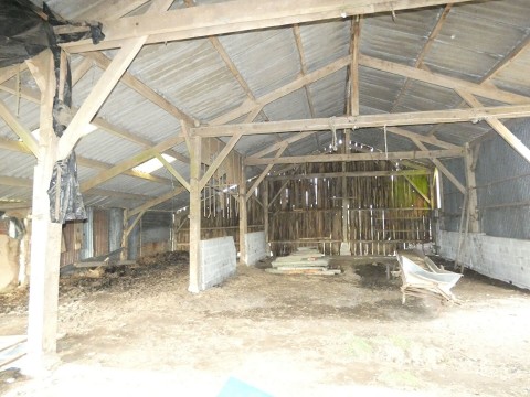 le teilleul