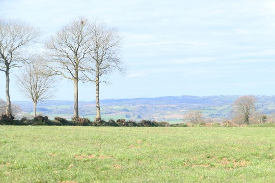 le mesnil tove