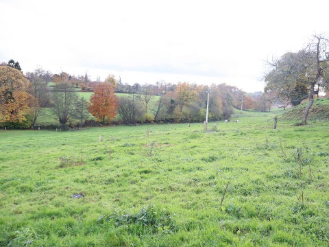 region le teilleul