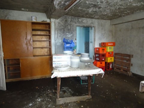 le teilleul