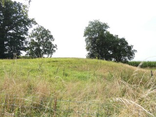 moulinesproposé par l Immobilière du Mortainais
