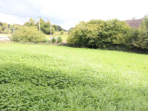 secteur mortain - maison avec terrain