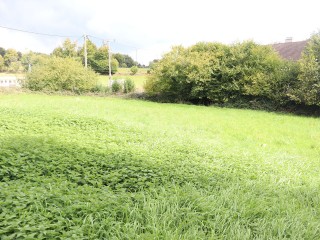 secteur mortain - maison avec terrainproposé par l Immobilière du Mortainais