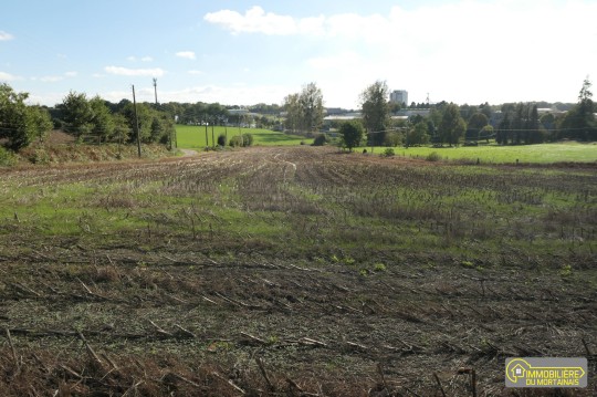 louvignÉ du desert